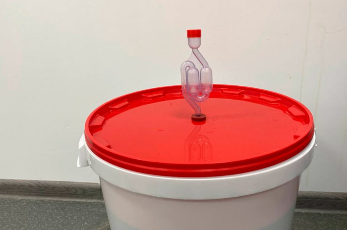 Ставим на брожение